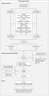 Constructing machine learning models based on non-contrast CT radiomics to predict hemorrhagic transformation after stoke: a two-center study